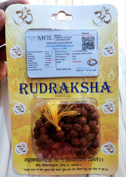 Original Rudradkh Mala 8MM Size Bead With Lab Certificate